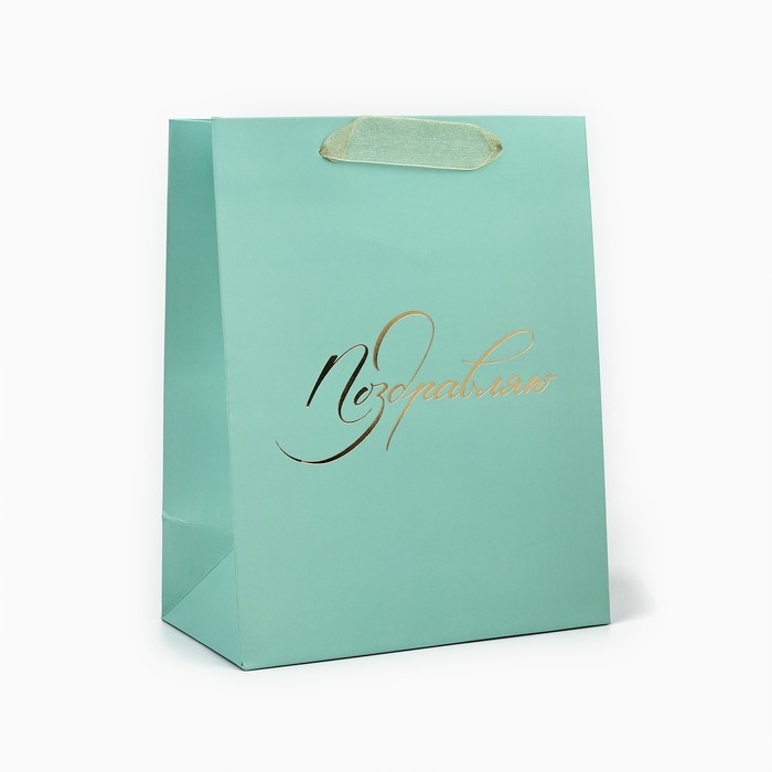 Пакет ламинированный вертикальный «Поздравляю», MS 18 х 23 х 10 см Пакет ламинированный вертикальный «Поздравляю», MS 18 х 23 х 10 см