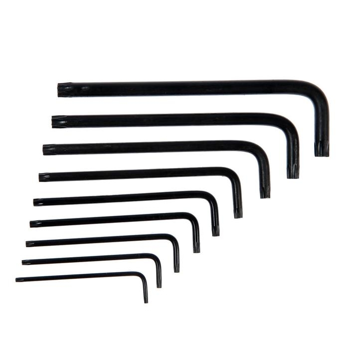 Набор ключей ТУНДРА black, TORX Tamper, удлиненные, CrV, TT10 - TT50, 9 шт. Набор ключей ТУНДРА black, TORX Tamper, удлиненные, CrV, TT10 - TT50, 9 шт.
