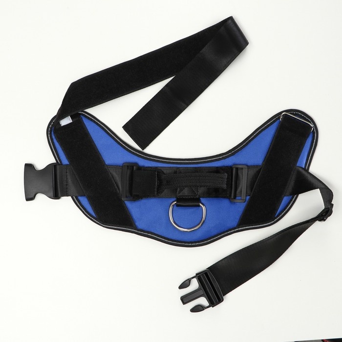 Шлейка К9 мягкая светоотражающая, размер ХL, ОГ 80-95 см, вес 30-45 кг, синяя Шлейка К9 мягкая светоотражающая, размер ХL, ОГ 80-95 см, вес 30-45 кг, синяя