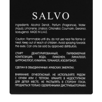 Парфюмерная вода мужская Salvo (по мотивам Dior Sauvage), 100 мл