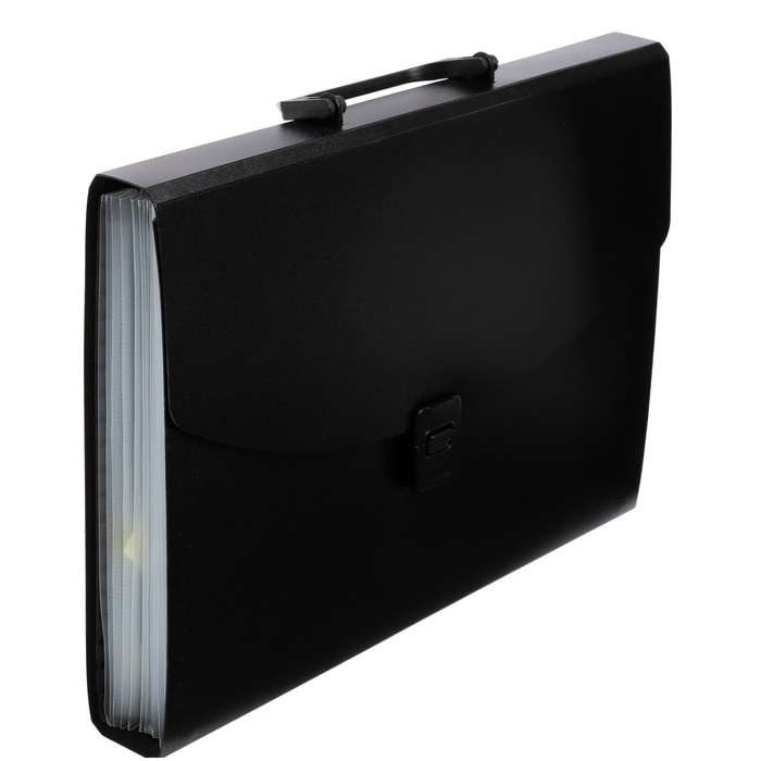 Папка-портфель А4 Calligrata, 13 отделений, 700 мкм, до 300 листов, чёрная Папка-портфель А4 Calligrata, 13 отделений, 700 мкм, до 300 листов, чёрная