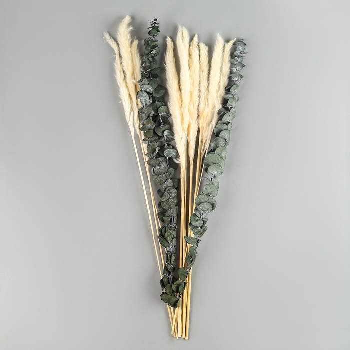 Букет из сухоцветов «Эвкалипт», набор из 13 шт., высота 47 см
