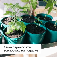 Набор для рассады: стаканы по 500 мл (8 шт.), поддон 40 × 20 см, цвет МИКС, Greengo