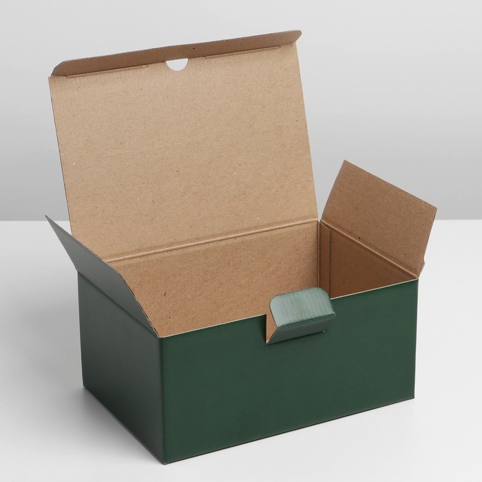 Коробка подарочная складная, упаковка, «Зелёная», 22 х 15 х 10 см Коробка подарочная складная, упаковка, «Зелёная», 22 х 15 х 10 см