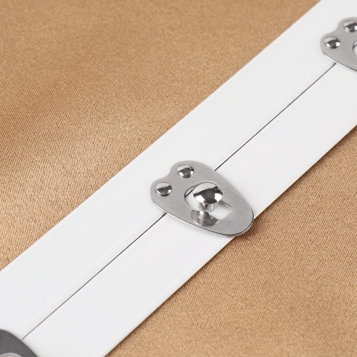 Бюск-застёжка для корсета, 25 см, цвет белый/серебряный Бюск-застёжка для корсета, 25 см, цвет белый/серебряный