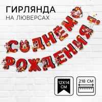 Гирлянда на люверсах "С Днем рождения!", длина 218 см, Минни Маус