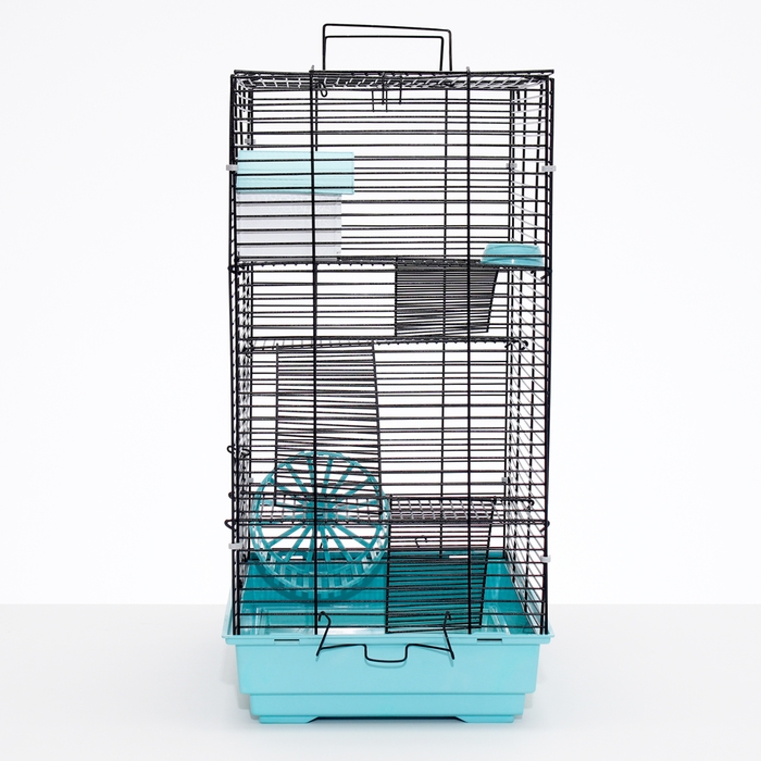 Клетка для грызунов Клетка для грызунов "Пижон" №5, с 3 этажами, укомплектованная, 41 х 30 х 58 см, бирюзовая