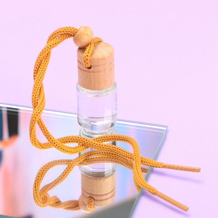 Ароматизатор подвесной «Запахло дынькой», аромат: дыня, 5 мл Ароматизатор подвесной «Запахло дынькой», аромат: дыня, 5 мл