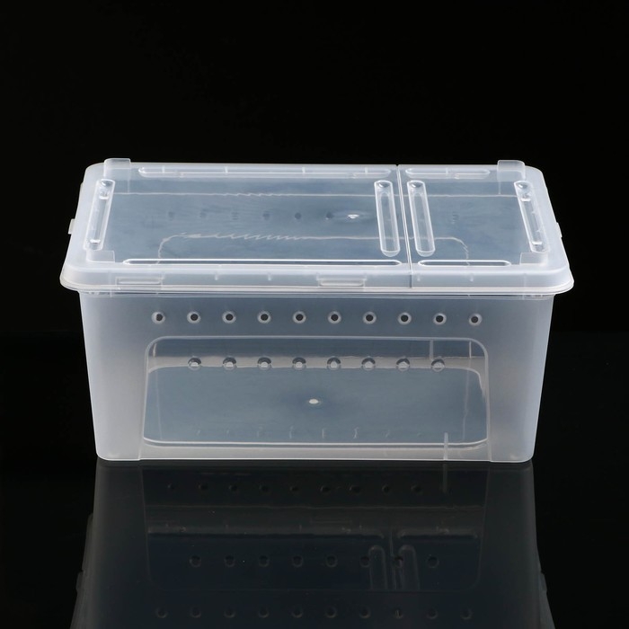 Переноска - отсадник для рептилий, 26 х 17,5 х 11,5 см Переноска - отсадник для рептилий, 26 х 17,5 х 11,5 см