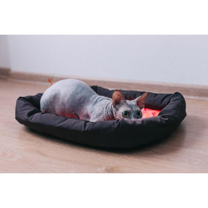 Лежанка мягкая с бортом, 55 х 40 см, микс цветов Лежанка мягкая с бортом, 55 х 40 см, микс цветов