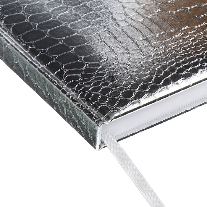 Ежедневник датированный 2025 A5 168 листов, Attomex. Arkona, твердая обложка, бумвинил с поролоном, ляссе,блок 70, серый Ежедневник датированный 2025 A5 168 листов, Attomex. Arkona, твердая обложка, бумвинил с поролоном, ляссе,блок 70, серый