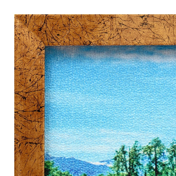 Гобеленовая картина Гобеленовая картина "Дух свободы" 45*83 см рамка микс