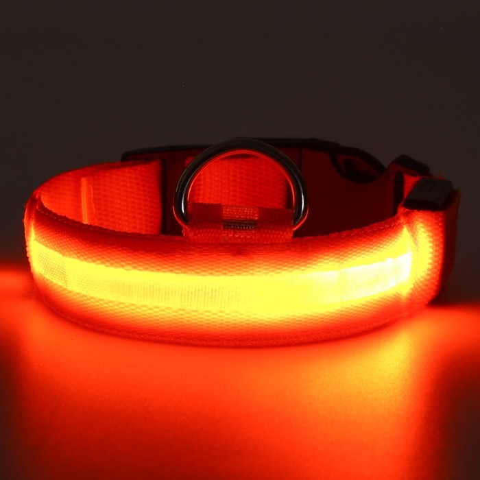 Ошейник с подсветкой размер S, ОШ 35-43 х 2,5 см, 3 режима свечения оранжевый Ошейник с подсветкой размер S, ОШ 35-43 х 2,5 см, 3 режима свечения оранжевый
