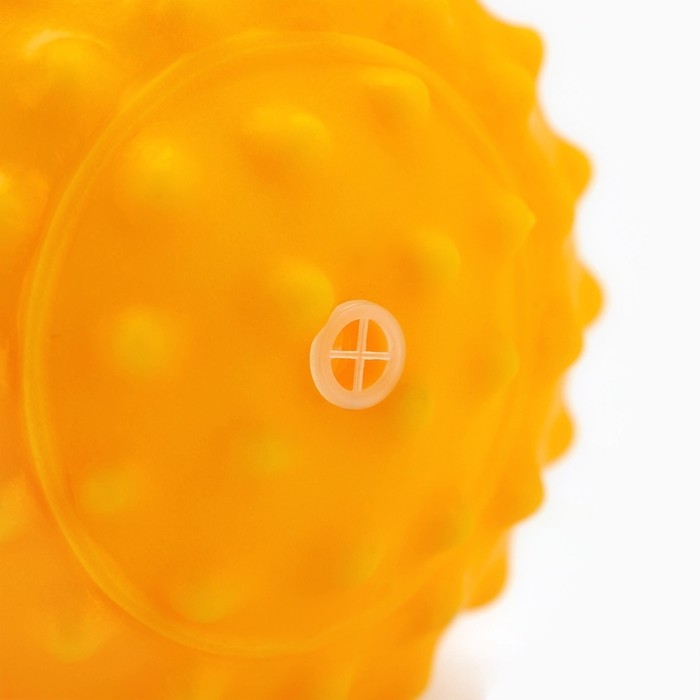 Игрушки для собак. Мячик с пищалкой «Оранжевый», d=6,5 см Игрушки для собак. Мячик с пищалкой «Оранжевый», d=6,5 см