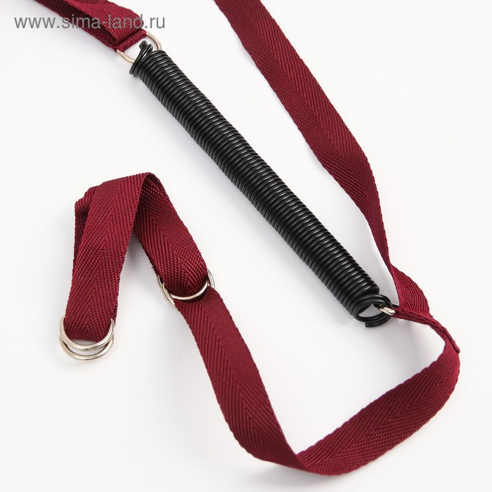 Прыгунки №2 «Пряники, Леденец» (прыгунки, качели, тарзанка), цвет МИКС Прыгунки №2 «Пряники, Леденец» (прыгунки, качели, тарзанка), цвет МИКС