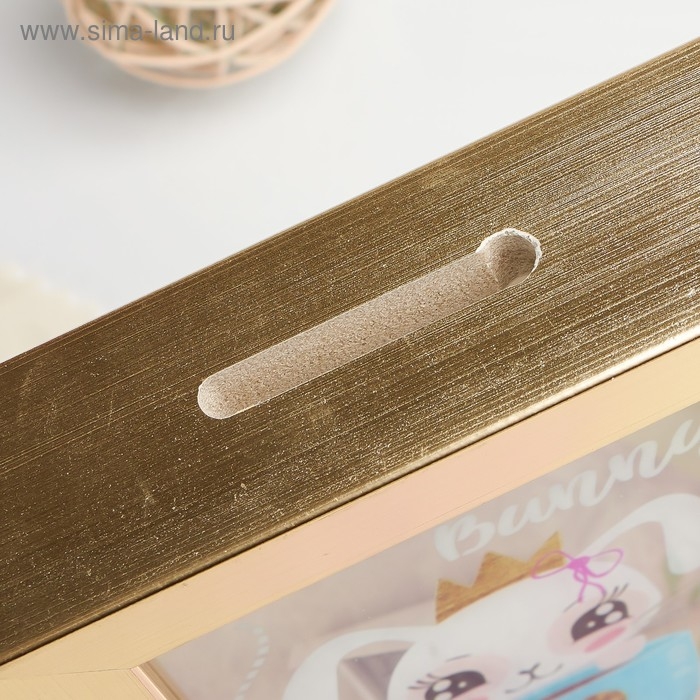 Копилка интерьерная пластик Копилка интерьерная пластик "Зайка в короне с кружечкой" 17х12х3,8 см