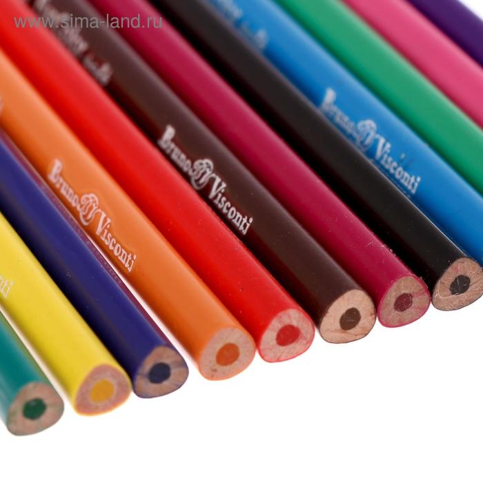 Карандаши цветные 12 цветов Funcolor пластиковые, в картонной тубе, МИКС Карандаши цветные 12 цветов Funcolor пластиковые, в картонной тубе, МИКС