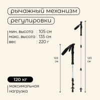 Палка треккинговая maclay Carbon 900, телескопическая, 1 шт.