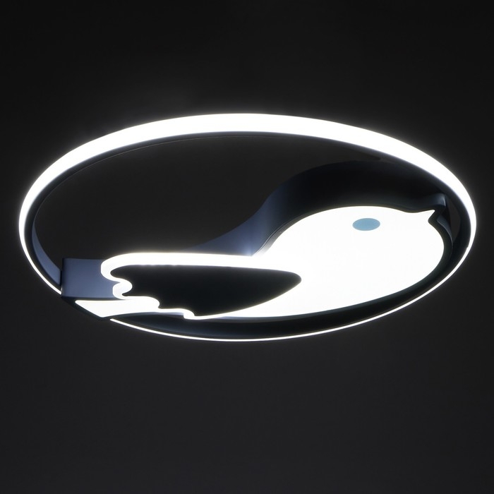 Светильник с ПДУ 1790/1 LED 50Вт диммер синий 50х50х5 см BayerLux