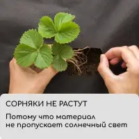 Материал мульчирующий, 10&times;1.6 м, плотность 60 г/м&sup2;, спанбонд с УФ-стабилизатором, четыре ряда перфорации, чёрный, Greengo, Эконом 30%
