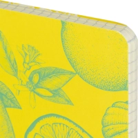 Бизнес-тетрадь  ароматизир.100л,кл,А5, КЛЕМЕНТИН,спир,тонир.блок 84906