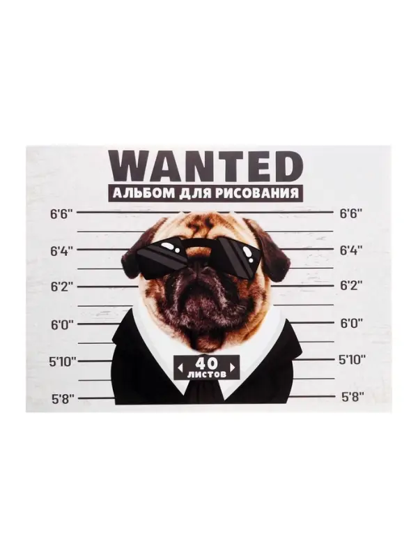 Альбом для рисования Calligrata А4, 40 листов, на скрепке, обложка из мелованного картона, МИКС