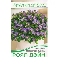 Семена цветов Экзакум (Персидская фиалка) Роял дэйн дип блю (драже) PanAmerican, Ц/П,4 шт. 1094596 Семена цветов Экзакум (Персидская фиалка) Роял дэйн дип блю (драже) PanAmerican, Ц/П,4 шт. 1094596