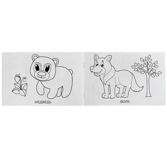 Раскраска «Лесные животные», 8 страниц Раскраска «Лесные животные», 8 страниц