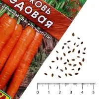 Семена Морковь &laquo;Медовая&raquo;, 2 г, &laquo;Аэлита&raquo;