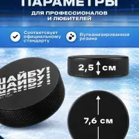 Шайба хоккейная Winter Star, взрослая, d=7.6 см