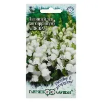 Семена цветов Антирринум (Львиный зев)"Аляска", ц/п, серия Устойчив к заморозкам, 0,05 г Семена цветов Антирринум (Львиный зев)"Аляска", ц/п, серия Устойчив к заморозкам, 0,05 г