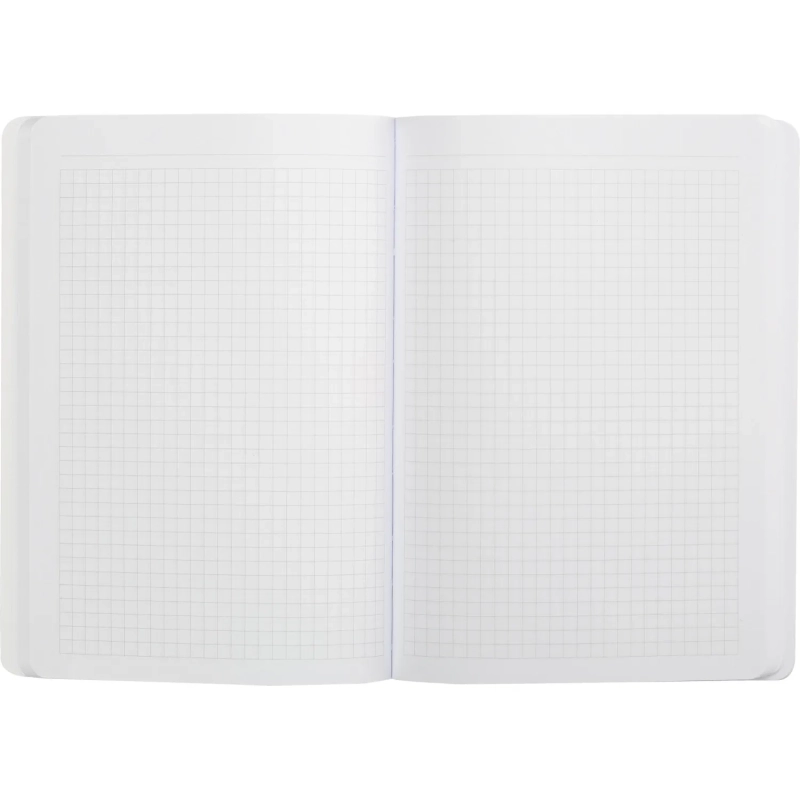 Тетрадь общая  Attache Selection Navy nature Голубой А5 80л клетка, ШКС