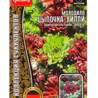 Семена цветов Молодило Цыпочка - Хиппи  5драже   12.29 г.