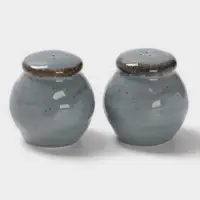 Набор для специй Magistro Alpine Frost, 2 предмета: перечница, солонка, 80 мл, 5&times;6 см, фарфор, голубовато-серый