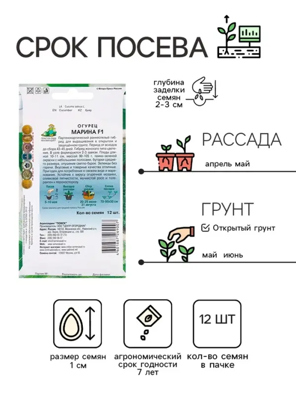 Семена Огурец Марина, F1, 12шт