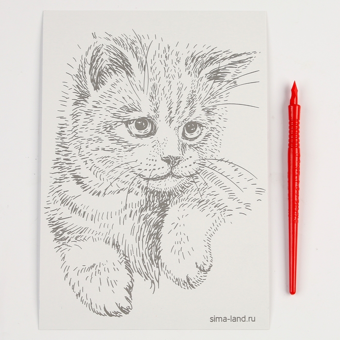 Гравюра. Набор гравюр &laquo;Звери&raquo;, А5, 4 шт