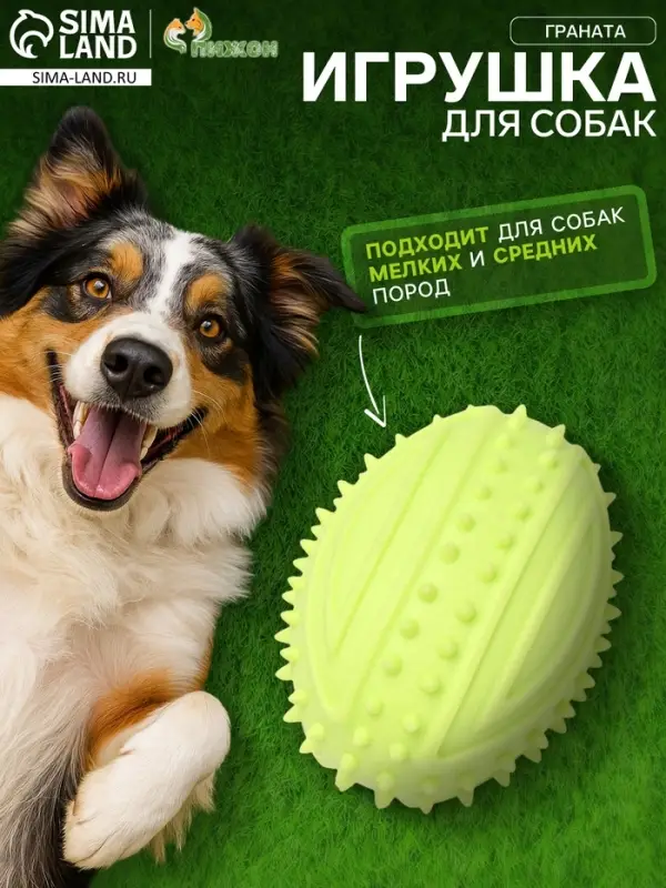 Жевательная игрушка для собак &laquo;Граната&raquo;, 10 см, TPR, салатовая
