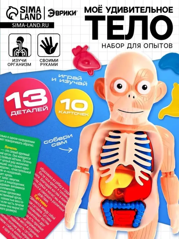 Набор для опытов &laquo;Мое удивительное тело&raquo;