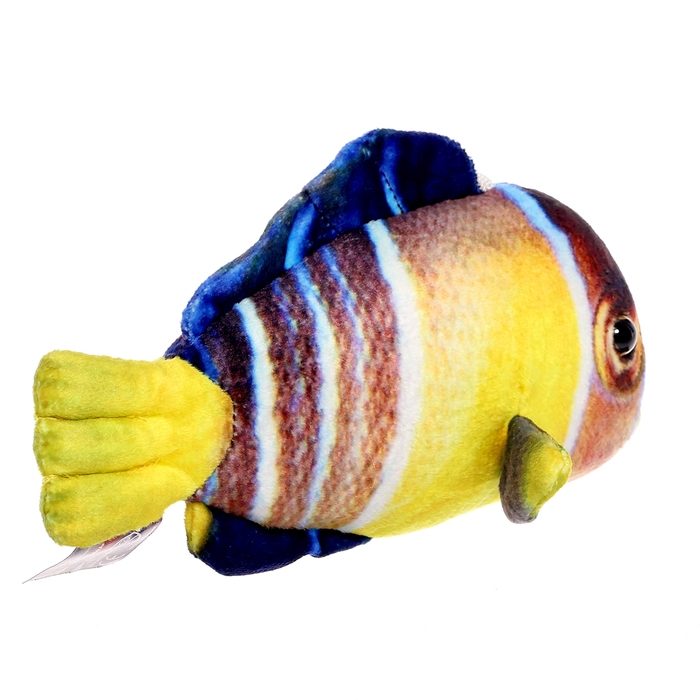 Мягкая игрушка «Рыбка бабочка мини», 16 см Мягкая игрушка «Рыбка бабочка мини», 16 см