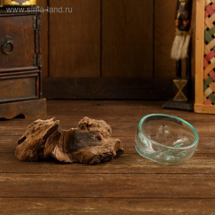 Вазон стекло на коряге  Вазон стекло на коряге "Блюдо" 15х15х8 см