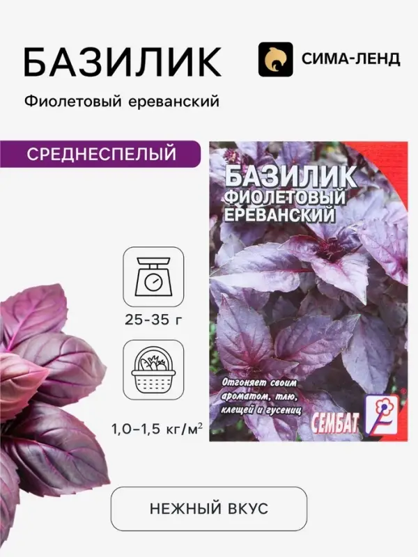 Семена Базилик фиолетовый &laquo;Ереванский&raquo;, 0.2 г, &laquo;Сембат&raquo;
