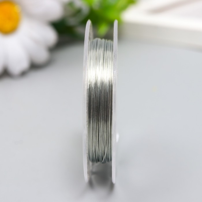 Проволока для бисера d 0,3 мм, серебро рул.10 м Проволока для бисера d 0,3 мм, серебро рул.10 м