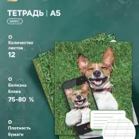 Тетрадь 12 листов в косую линейку, Calligrata &laquo;Селфи.DOG&raquo;, обложка мелованная бумага, серые листы, МИКС