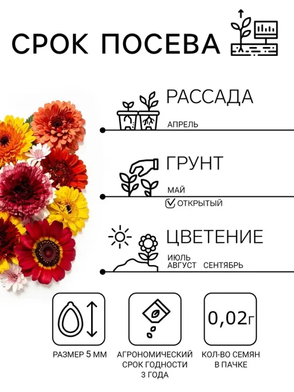 Семена Цветов Хризантема многолетняя &laquo;Смесь окрасок&raquo;, крупноцветковая, 0.02 г, &laquo;Урожай удачи&raquo;