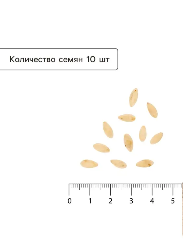 Семена Огурец &laquo;Зозулёнок&raquo;, F1, 10 шт., &laquo;Гавриш&raquo;