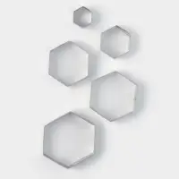 Формы печенья Доляна &laquo;Шестиугольник&raquo;, набор 5 шт., 9.6&times;8.3&times;2.5 см, нержавеющая сталь, серебристые
