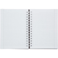 Блокнот BS, 102х142мм, 120л., клетка,  спираль. Botanica, эвкалипт, N4261