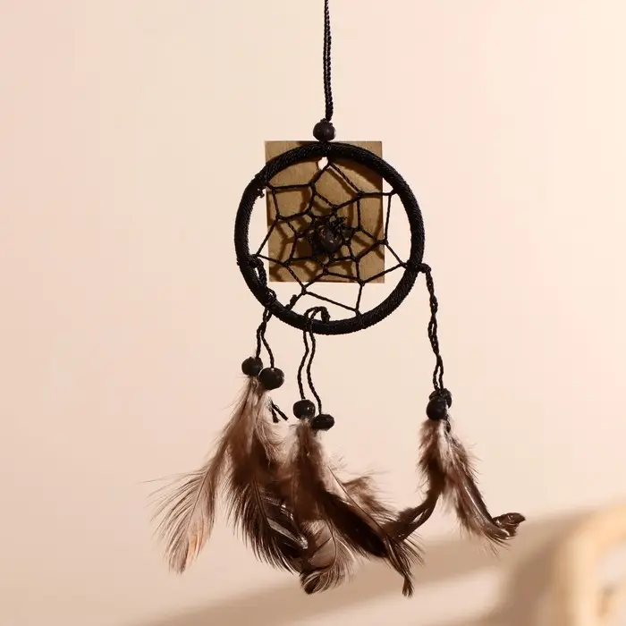 Ловец снов Ловец снов "Гармония" чёрный (коричневые перья) 6х0,5х20 см