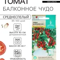 Семена Томат &laquo;Балконное чудо&raquo;, ультраскороспелый, детерминантный, 15 шт., &laquo;Евро-семена&raquo;