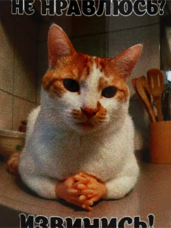 Кружка керамическая &laquo;Извинись!&raquo;, 320 мл